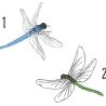 Insekten - Kein digitales Produkt auf meinem Produkt gestickt