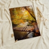 Neu! Fotografie Licht-Brücke als Poster Druck