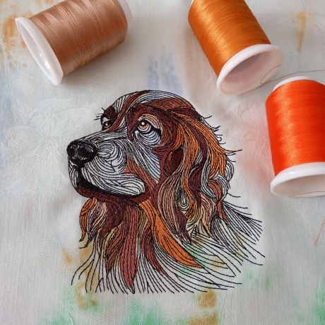 Deutscher Wachtelhund - 17.10 x 18.40 cm