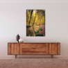 Neu! Fotografie Abenddämmerung Bach als Poster Druck
