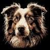 Neu Stickdatei Australian Shepherd Bart Lunachild