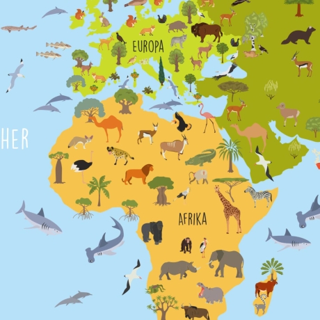 Kinder Lernposter Weltkarte Tiere bunt A1