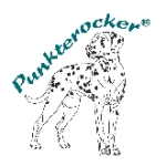 Punkterocker