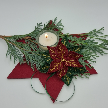 FSL FSA Weihnachtsstern Weihnachten ab 10 x10 geeignet