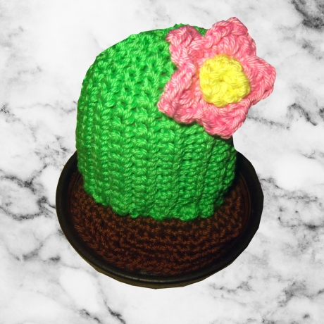 Kaktus Suzanne Häkelanleitung PDF DE/EN separat Bebildert