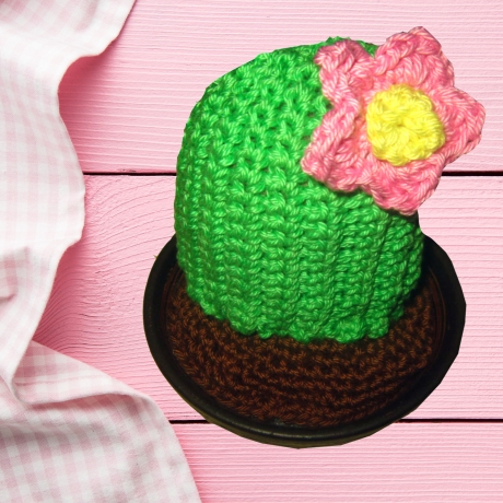 Kaktus Suzanne Häkelanleitung PDF DE/EN separat Bebildert