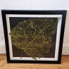 2er Set Bild Bilder skelettierte Blätter Deko 20x20cm