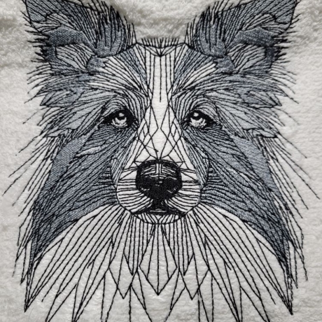 Border Collie - 12.68 x 13.84 cm
