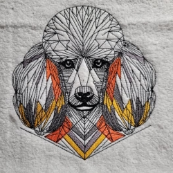 Pudel 01 - 17.89 x 19.17 cm