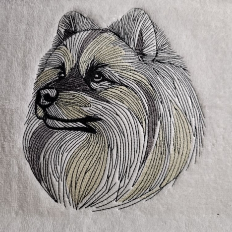 Spitz 01 - 15.76 x 18.40 cm
