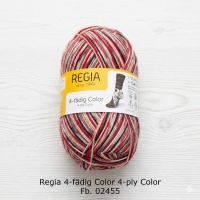 Regia Sockenwolle 4-fädig Color Fb. 02455