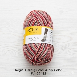 Regia Sockenwolle 4-fädig Color Fb. 02455
