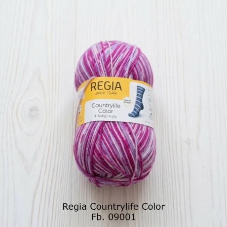 Regia Sockenwolle 4-fädig Countrylife Color Fb. 09001