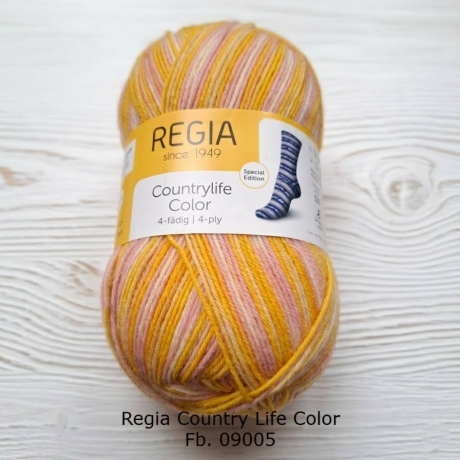 Regia Sockenwolle 4-fädig Countrylife Color Fb. 09005