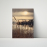 Fotografie Schilfgräser Stimmung - FineArt Druck