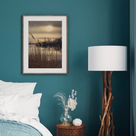 Fotografie Schilfgräser Stimmung - FineArt Druck