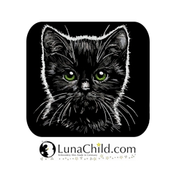 NEU Stickdatei schwarze Katze Enso LunaChild