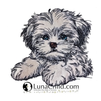 NEU Stickdatei Applikation Shih Tzu Lesley