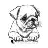 NEU Stickdatei Mops Welpe Daisy Hund realistisch
