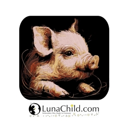 NEU Stickdatei Schweinchen Nils LunaChild