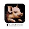 NEU Stickdatei Schweinchen Nils LunaChild