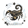 Neu Applikation Stickdatei Sternzeichen Skorpion Lunachild