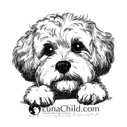 NEU Stickdatei Bichpoo Annika Hund LunaChild NEU Stickdatei Bichpoo Annika Hund LunaChild