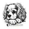NEU Stickdatei Cavalier King Charles Spaniel Lotte