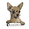 NEU Stickdatei Applikation Chihuahua Aage realistisch