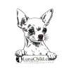 NEU Stickdatei Chihuahua kurzhaar Aage Hund