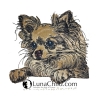 NEU Applikation Stickdatei Chihuahua Kim Hund 