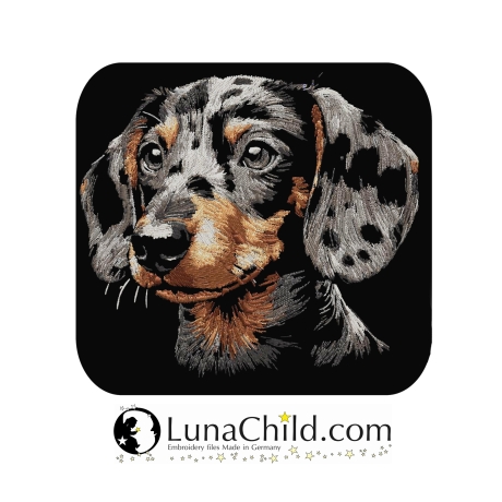 NEU Stickdatei Dackel Three Colors Gardy  Hund
