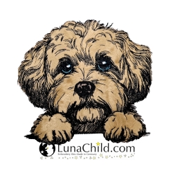 NEU Stickdatei Applikation Bichpoo Annika LunaChild NEU Stickdatei Applikation Bichpoo Annika LunaChild