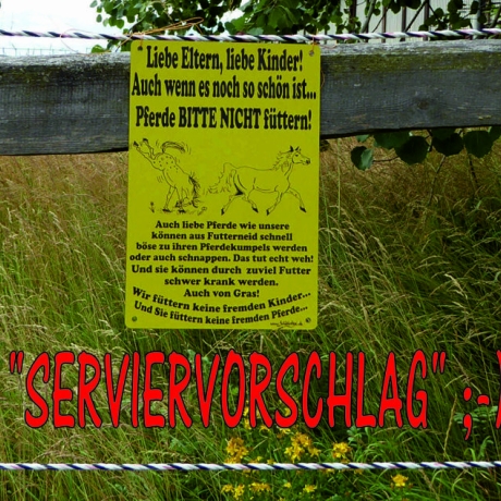 Pferdeschild füttern verboten 12,  Gravurschild 15x20 cm