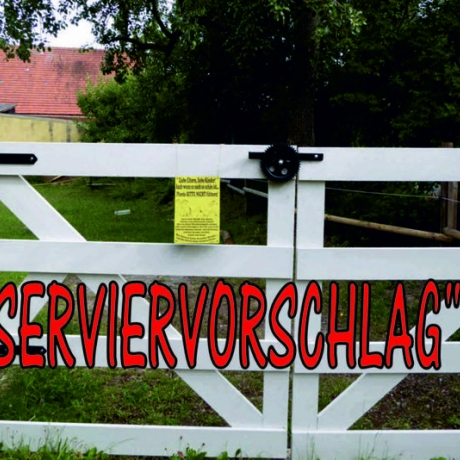 Schild SCHAFE füttern verboten 3 groß - Gravurschild
