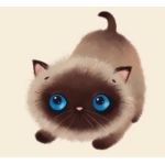 Katzenliebe by Anja