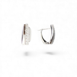 Versilberte Ohrringe Zeitgemäßer Schmuck Für Frauen
