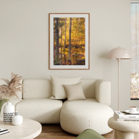 Fotografie Moor Wald - FineArt Druck