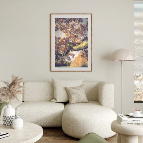 Fotografie Baum im Herbstlicht - FineArt Druck