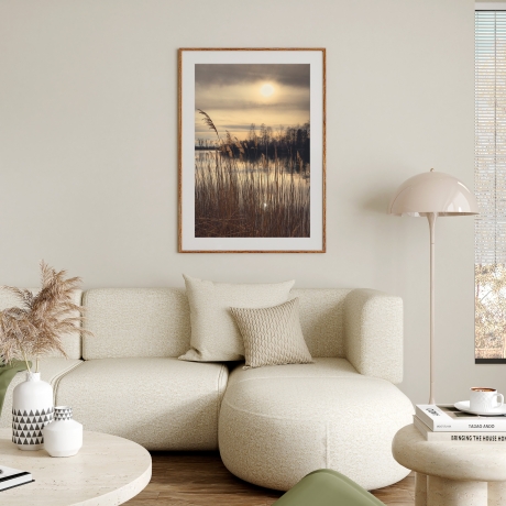 Fotografie Schilfgräser Stimmung - FineArt Druck