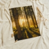  Neu! Fotografie Sonnenlicht als Poster Druck