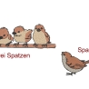 Vögel - Kein digitales Produkt auf meinem Produkten gestickt