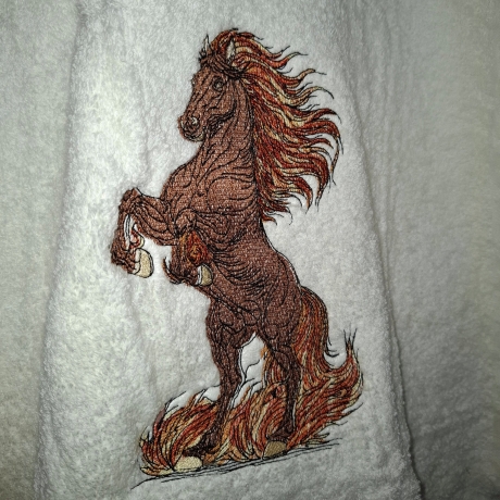 Feuerpferd 03 | Dynamik & Aufbruch | 11.39 x 17.40 cm