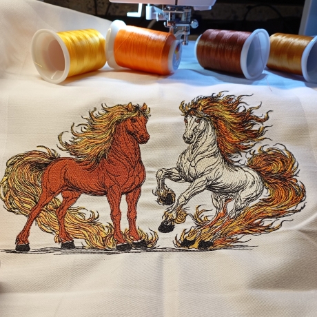 Feuerpferde 01 & 02 | kraftvolle Balance | 28.77 x 18.69 cm