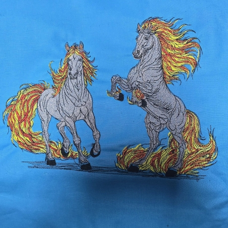 Feuerpferde 03 & 04 | kraftvolle Balance | 21.15 x 15.77 cm