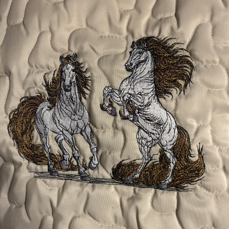 Feuerpferde 03 & 04 | kraftvolle Balance | 21.15 x 15.77 cm