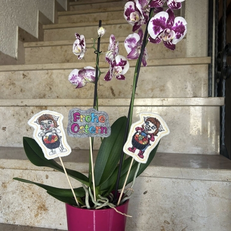 Klara - Frohe Ostern | Stabdatei | 5.64 x 8.71 cm | TS | ITH