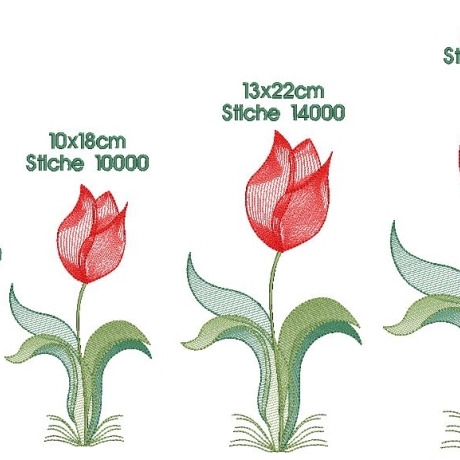 Stickdatei Tulpe einzelne Tulpe verschiedene Größen