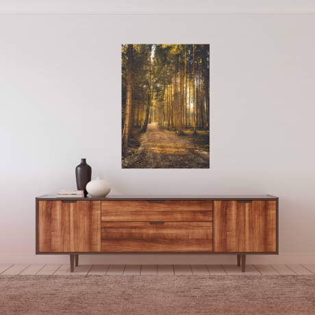  Neu! Fotografie ZEN-Wald als Poster Druck