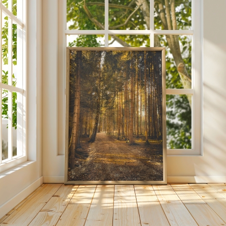  Neu! Fotografie ZEN-Wald als Poster Druck